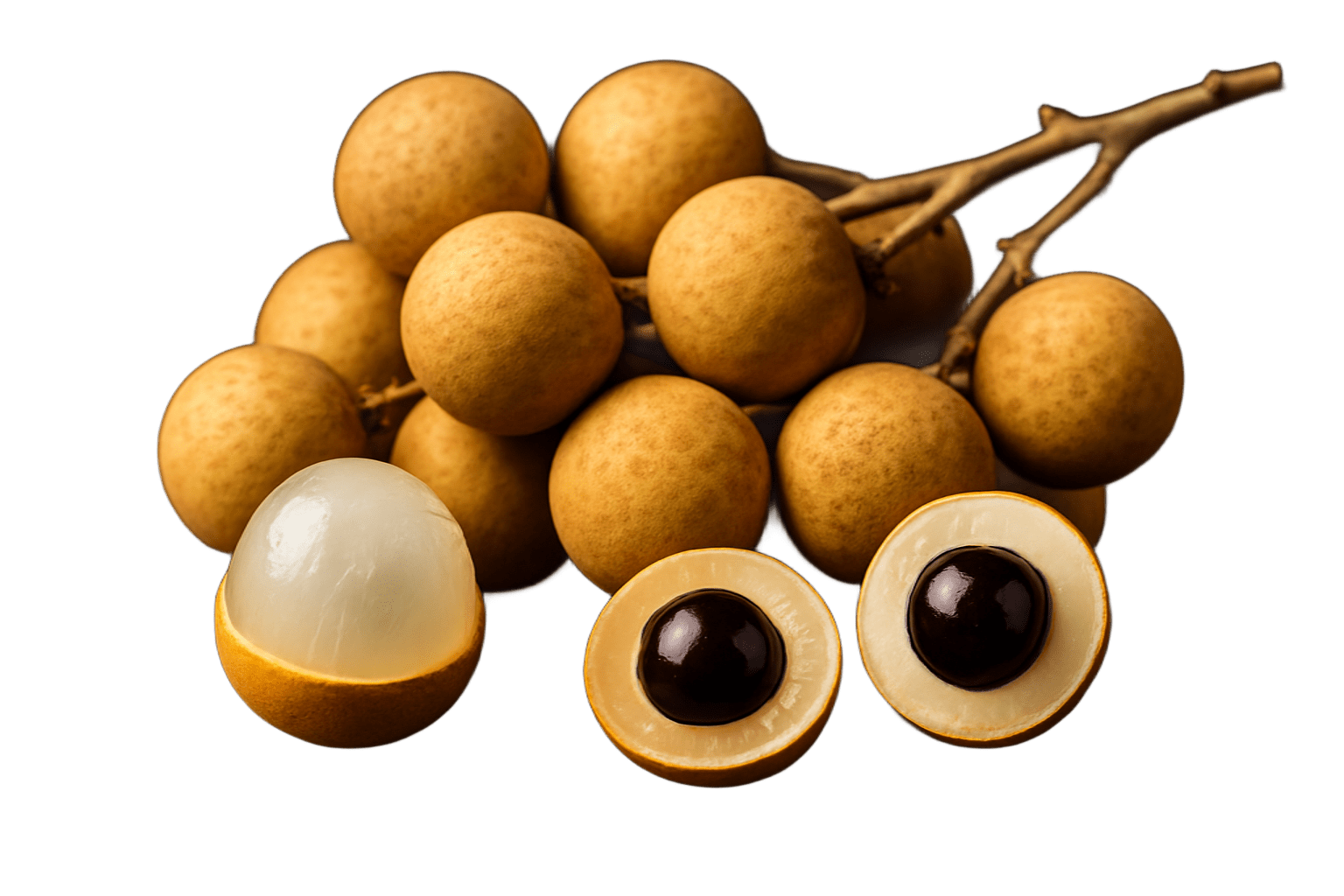 Longan